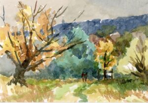 'Path to Hall Barn, Rivington' by Colin Callon
