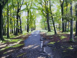 Shawes Drive, Summer by Neil Baglow