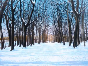 'Shawes Drive, Winter' by Neil Baglow