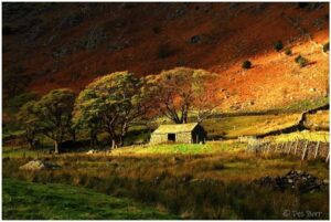 'Valley Shelter' by Des Barr