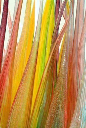 'Lets Grow' by Deborah Longworth