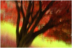 'Autumn Dream' by Des Barr