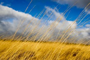 'Egerton Countryside' by Deborah Longworth