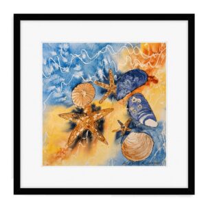 Shells with barnacles Rosie Rimmer Framed fine Art Print