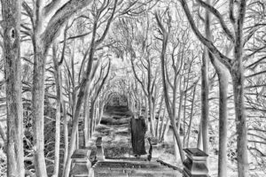 'The Retreat' by David Butler