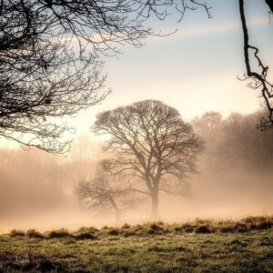'Winter Morning, Rivington' by David Ruaux