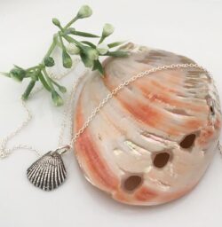 'Handmade Silver Cockle Shell' by Magpie Moments