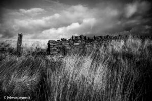 'Moorland Walk' by Deborah Longworth