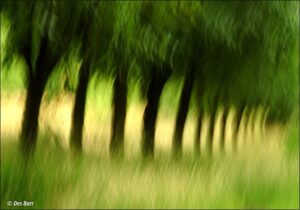 'Rivington Avenue' by Des Barr