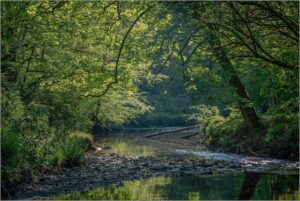 Sunlight on the river Yarrow, by ``bouic