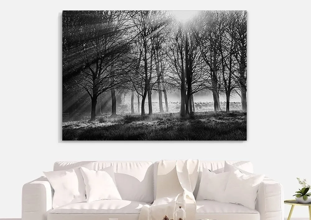 Stunning Acrylic by David Ruaux on wall