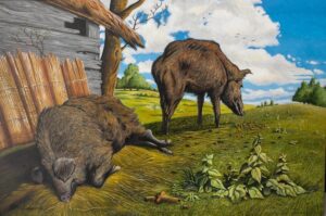 'Pigs' by Neil Baglow