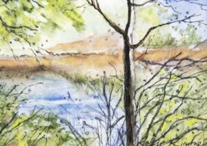 'Tree and Pond at Burnt Edge, Smithills' Fine Art Prints by Rosie Rimmer