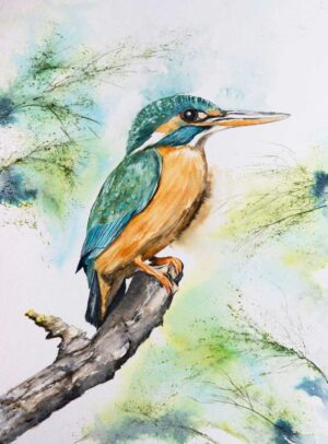 'Kingfisher' by Helen Worthington
