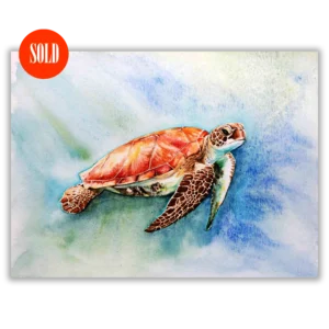 'Sea Turtle' by Helen Worthington