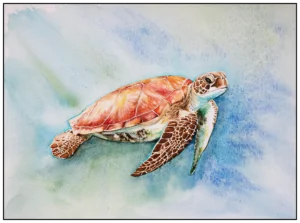 sea-turtle-original by helen worthington