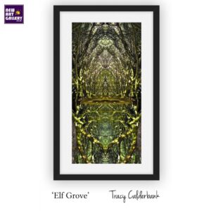 'Elf Grove' by Tracy Calderbank. Framed Fine Art Print. Limited edition.