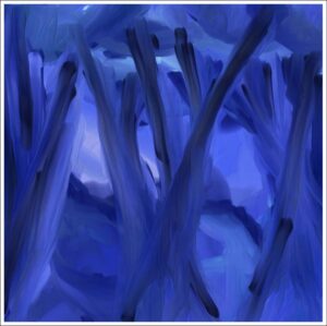 'Night' by Tracy Calderbank Framed Canvas Art Print Limited Edition.