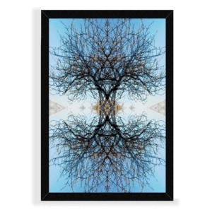 'I Stand Alone' limited edition of 25 prints by Tracy Calderbank