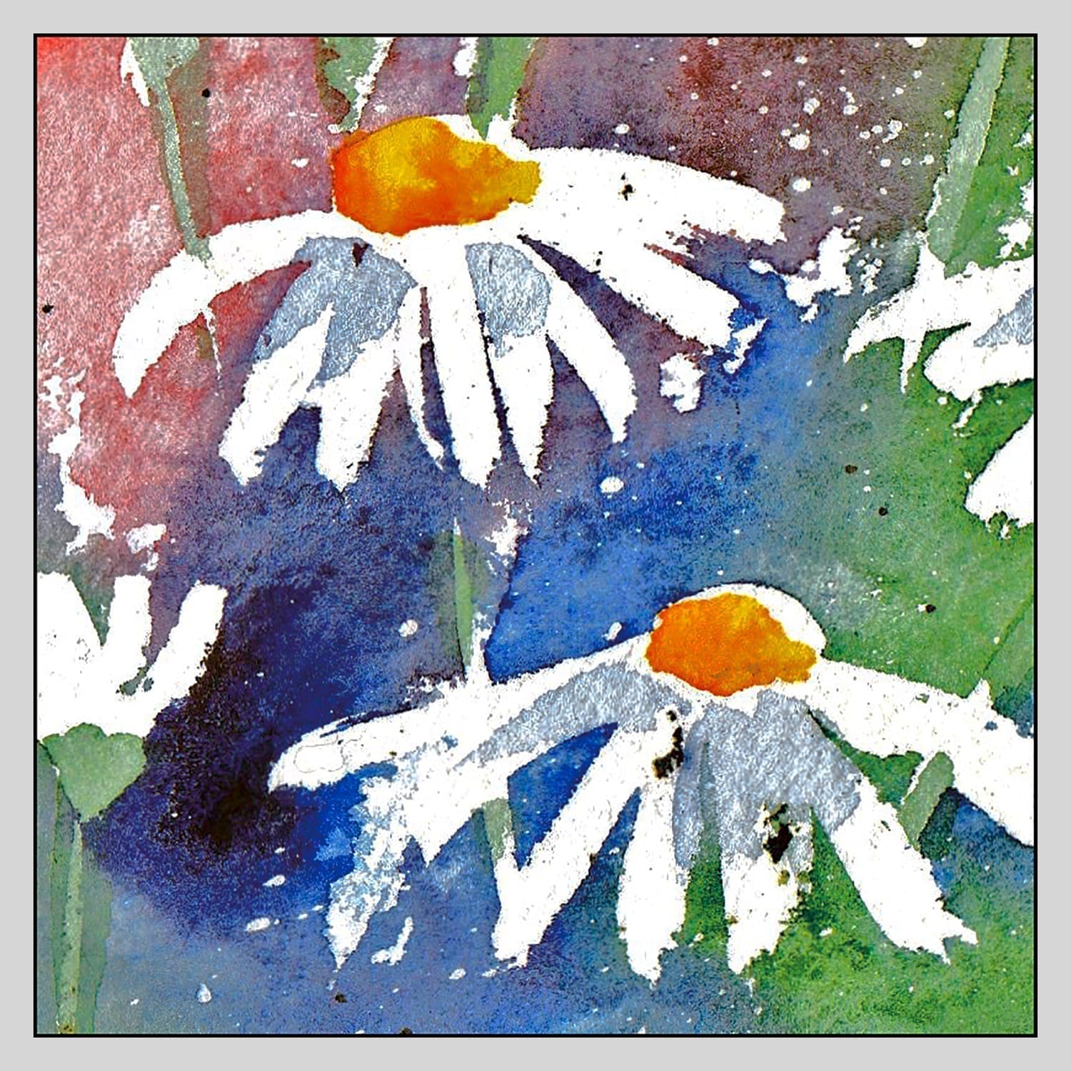 'Daisies' a card by Rosie Rimmer