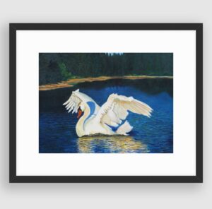 'The Swan', framed, by Chris Rowe