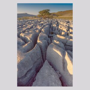 'Limestone Steps', Stephen Knowles