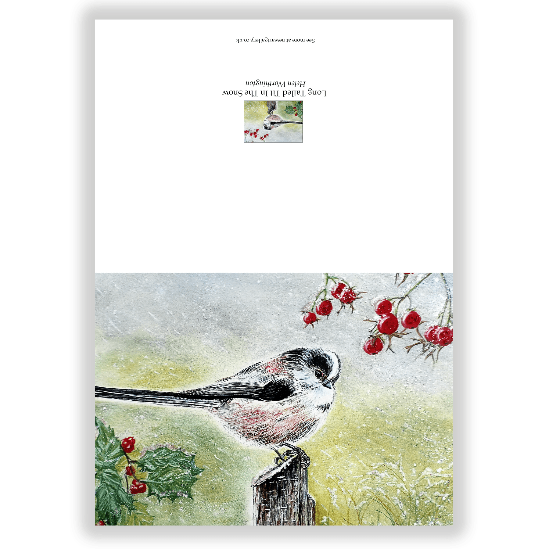 Long Tailed Tit In Snow. Fine art card by Helen Worthington