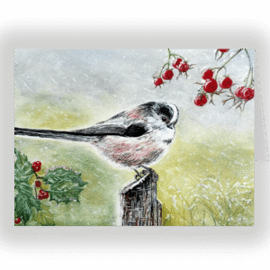 Long Tailed Tit In Snow. Fine art card by Helen Worthington