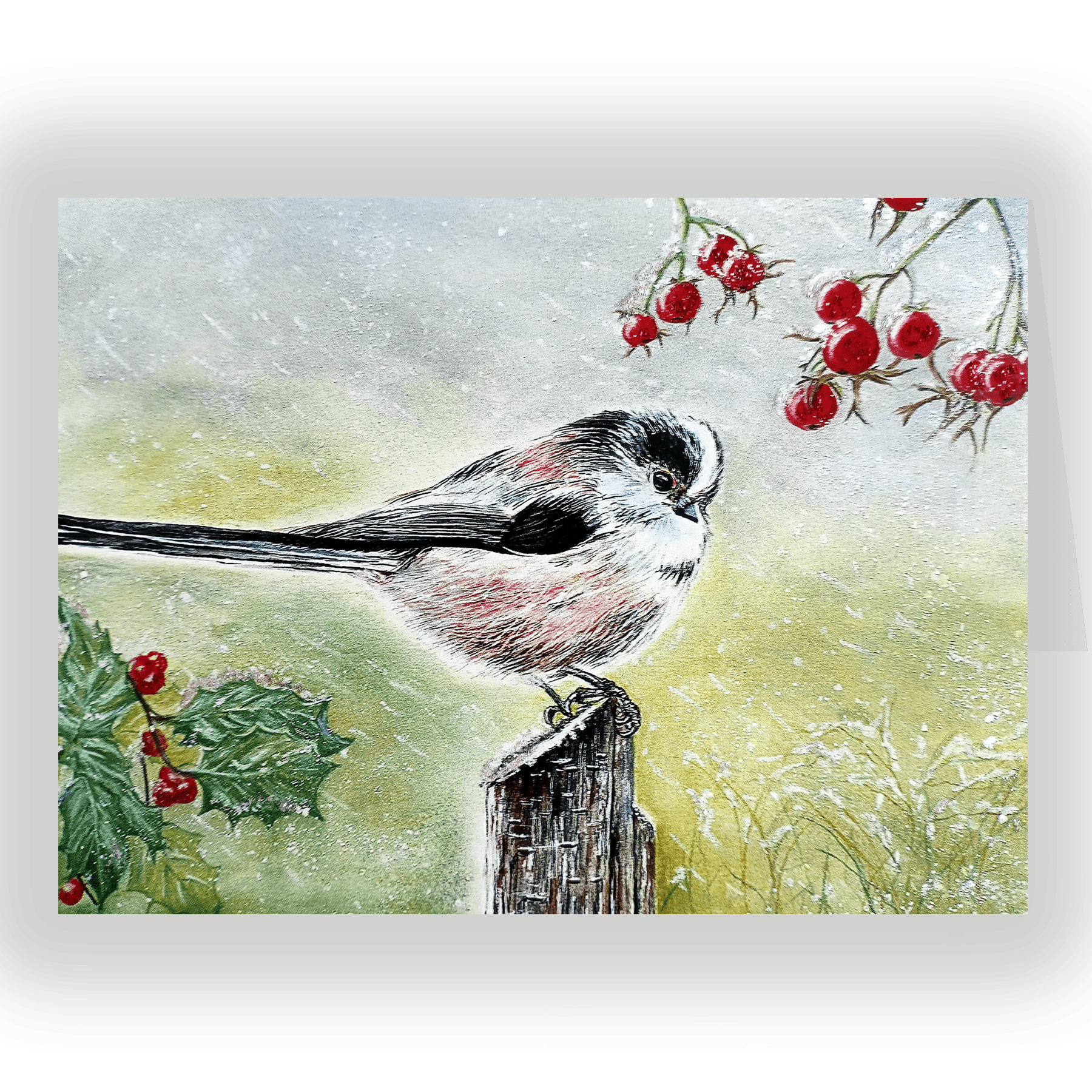 Long Tailed Tit In Snow. Fine art card by Helen Worthington