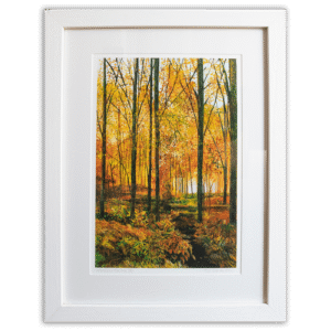 Mellow Yellow. Framed limited edition print by Rob Edmondson