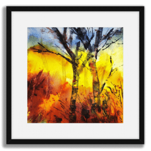 Silver Birch. A framed fine art print by Rosie Rimmer