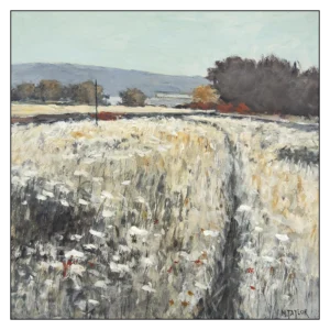 'Umbellifers' Limited Edition Prints - Malcolm Taylor