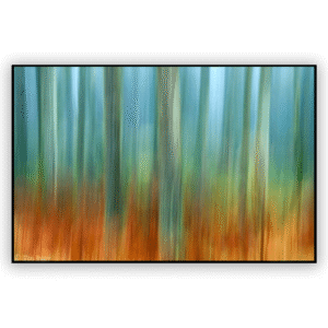 Woodland Dream by Des Barr. A framed canvas fine art print.