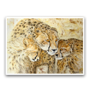 Cheetah ll by Karen Holt. Framed canvas art print.