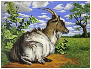 'The Goat' by Neil Baglow