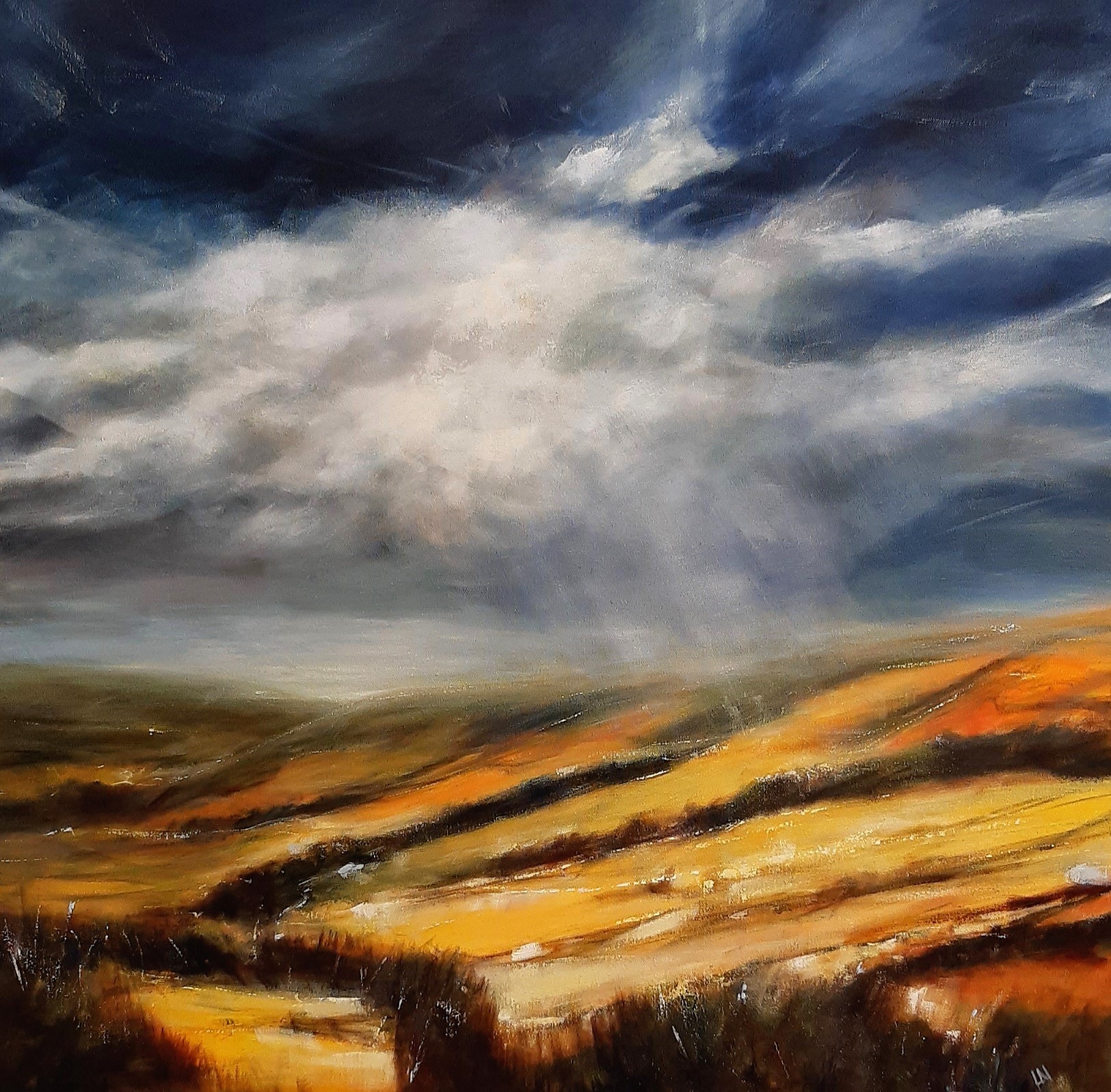 Ribble 197 by Lita Narayan