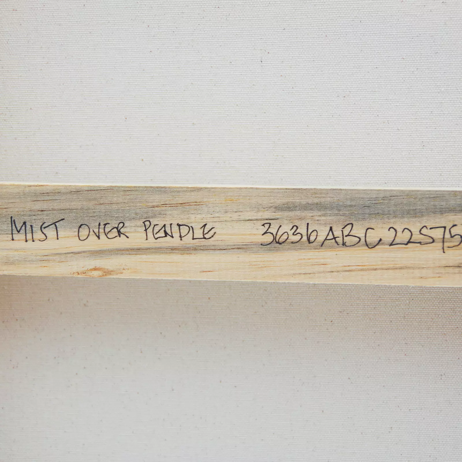 Title on back of canvas