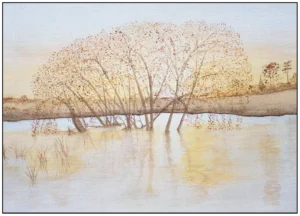 'After the Rain', Karen Holt.