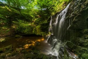 'Scalebar Force' by Stephen Knowles