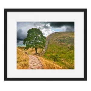 'Sycamore Gap, Hadrian's Wall', by Stephen Knowles Photography