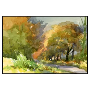 'Woodland Walk, Rivington'. Canvas wall art by Colin Callon