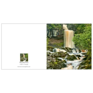 Thornton Force, Yorkshire Dales by Stephen Knowles