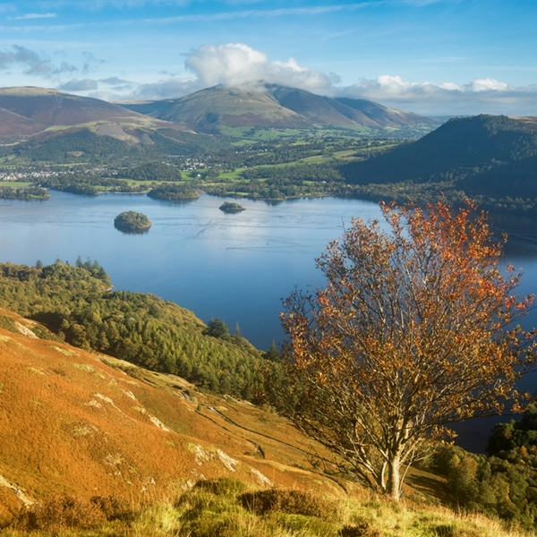 Lake District Icon by Stephen Knowles