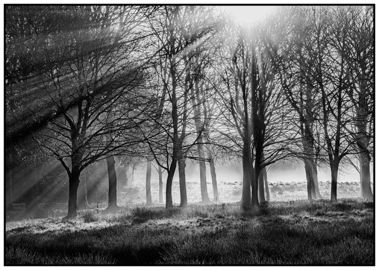 'Winter's Morning' David Ruaux Original Photo