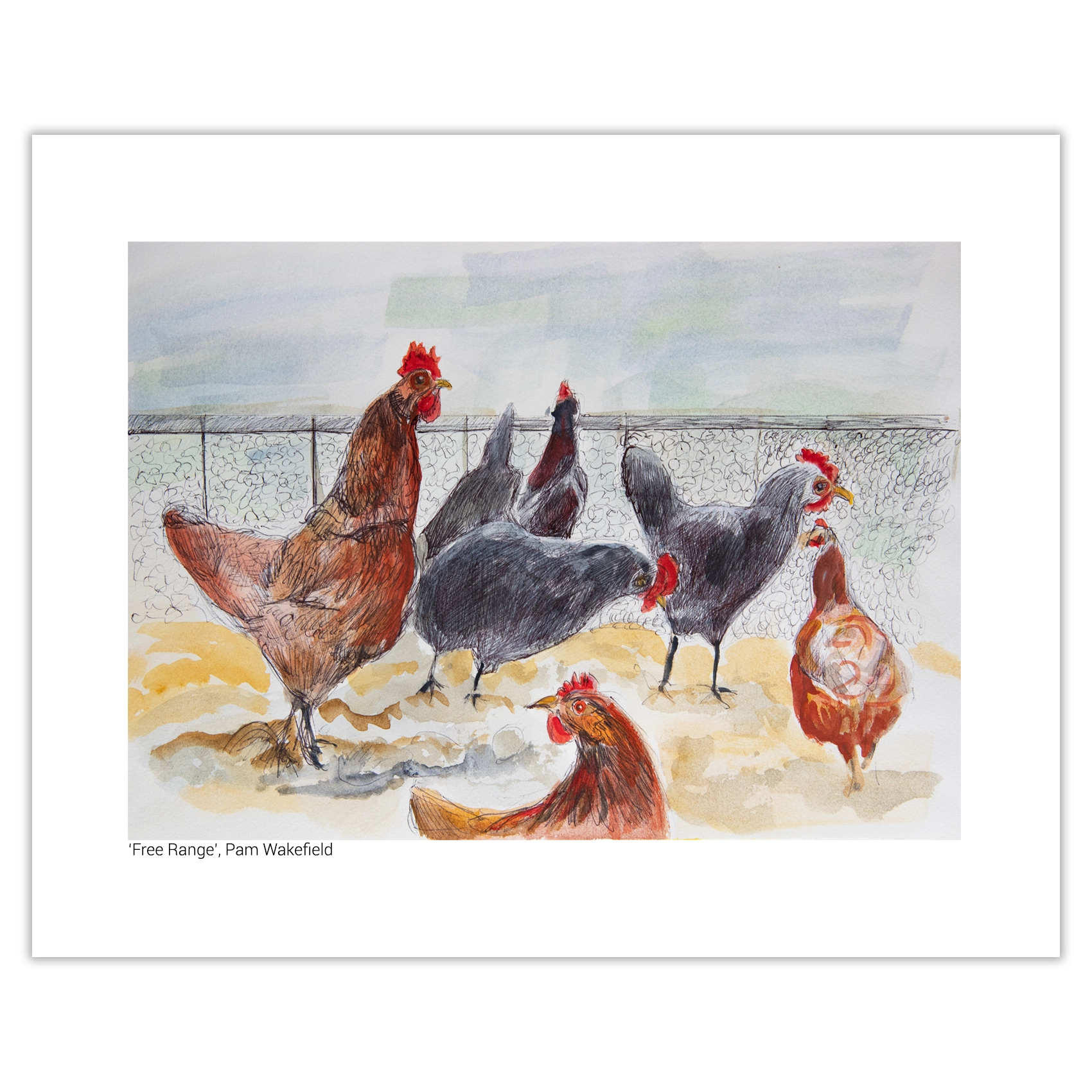 'Free Range'. Fine art print by Pamela Wakefield.