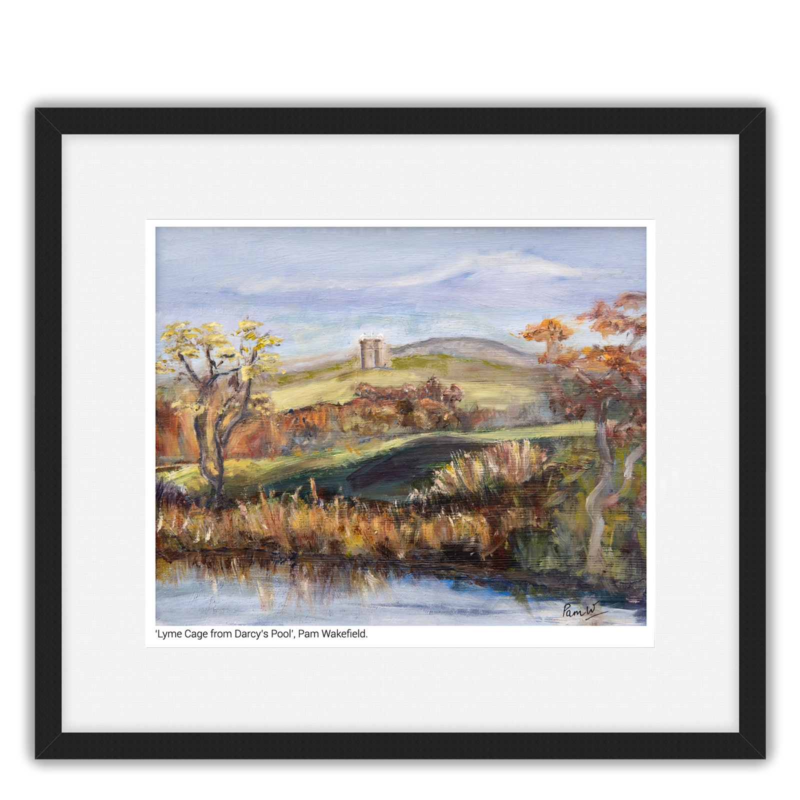 'Lyme Cage from Darcy's Pond'. Framed fine art print by Pamela Wakefield