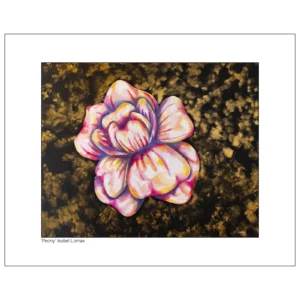 'Peony'. Fine art print by Isobel Lomax