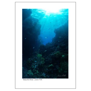 'Beautiful Blue'. Fine art print by Lewis Firth