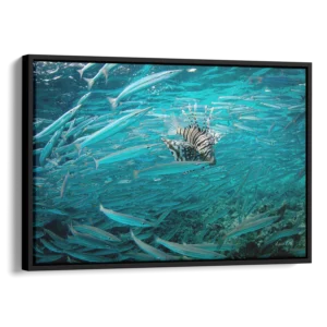 'Lionfish Surrounded' ,by Lewis Firth