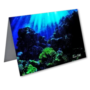 'Underwater Garden'. A fine art card by Lewis Firth